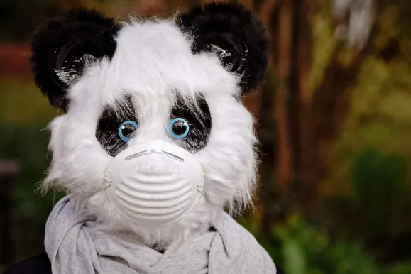 Bet9 Kasino Sokongan